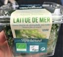 Laitue de mer