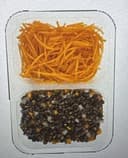 Duo carotte lentille
