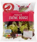 Feuille de chêne rouge