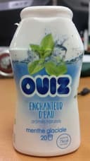 Enchanteur d'eau menthe glaciale