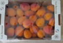 Abricots