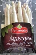 Asperges des sables des Landes