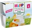 Brassé Bananes Mangues Ananas Hipp 4X100G +