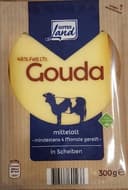Gouda Mittelalt