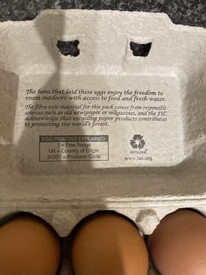 6 Fresh Free Range Eggs
