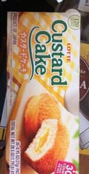 Custard Cake