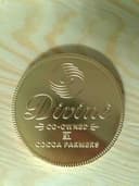 Milk Chocolate Solid Coin