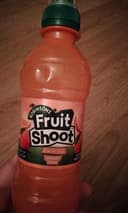 Fruit shoot orange