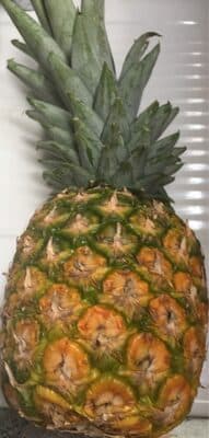 Ananas