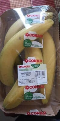 Banane cavendish
