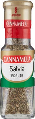 Salvia foglie