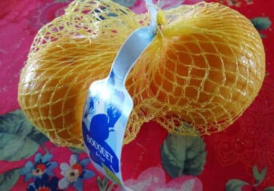 Pomelo