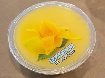 Dragon Kids Mango Pudding