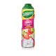 Sirop Tonus Fruit du Dragon et Fraise Vitamine B TEISSEIRE