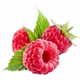 Framboise