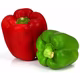 Poivrons panachés rouge et vert