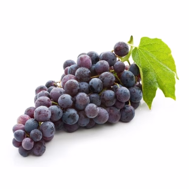 Raisin noir Bio