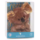 Moulage Chocolat Koala Lait CHEVALIERS D'ARGOUGES