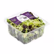 Salade mélange de saison