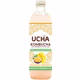 Kombucha thé fermenté pétillant bio mangue passion faible teneur en calories